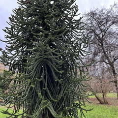 23-01-09 13-19-36 3877